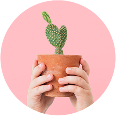 Hände halten Topf mit Kaktus